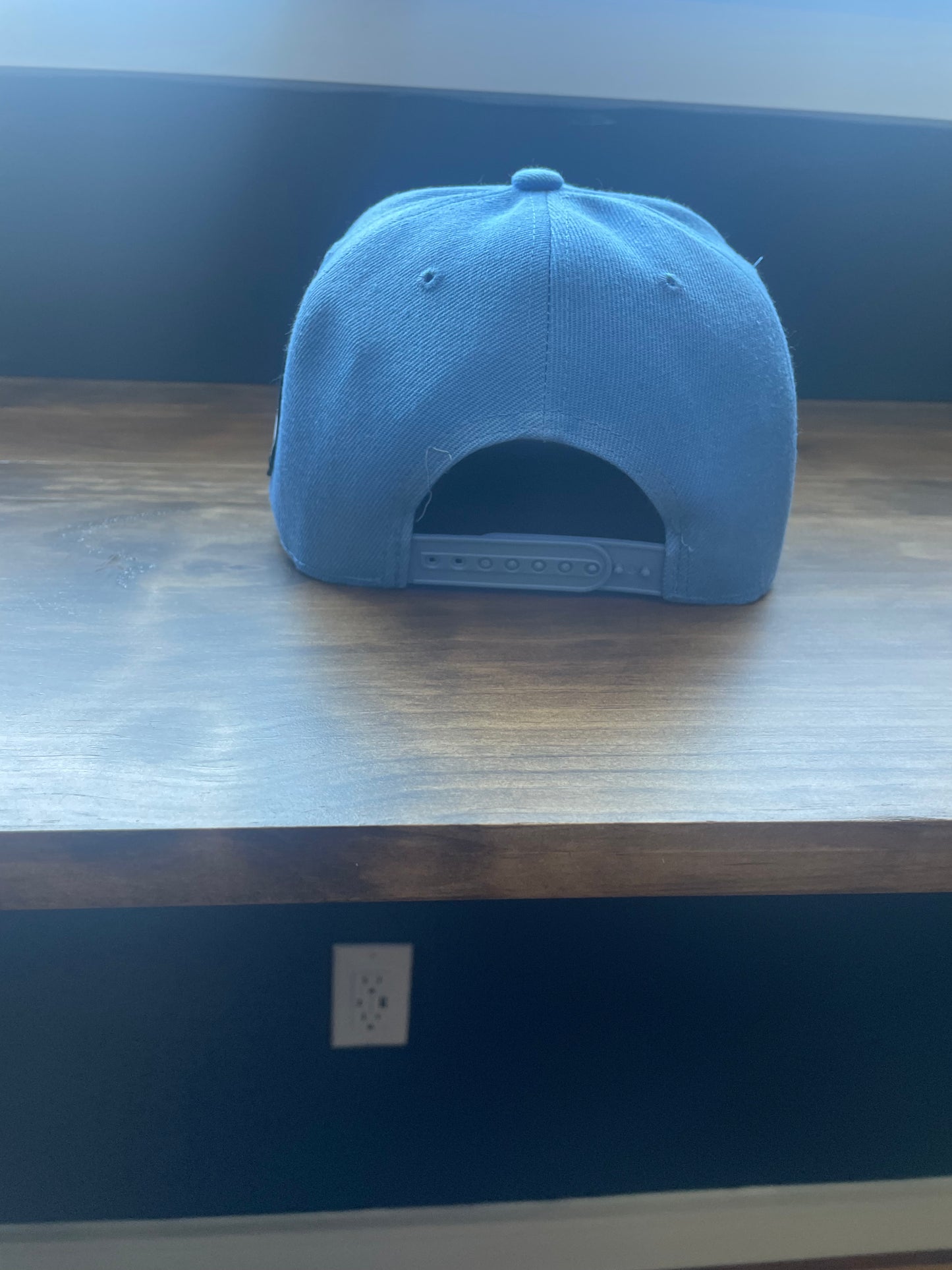 I SURVIVED THE DROUGHT (Flat bill no patch)